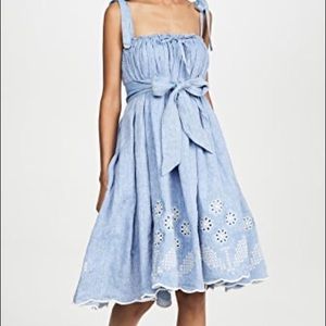 NWTS! Innika Choo Nev Erontym Dress Size Small!